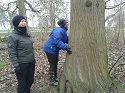 Measuring Trees PDF