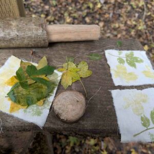 Forest School Assistant (Level 2) Training Course; Peterborough, Cambridgeshire 2026