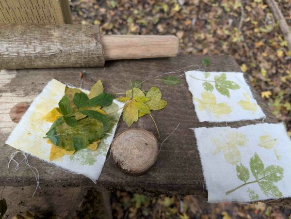 Forest School Assistant (Level 2) Training Course; Peterborough, Cambridgeshire 2026