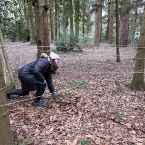 CPD for Forest School; Simple Activity Ideas & Makes; Banbury, Oxfordshire 2026