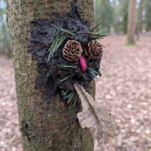 CPD for Forest School; Simple Activity Ideas & Makes; Coventry, Warwickshire 2026