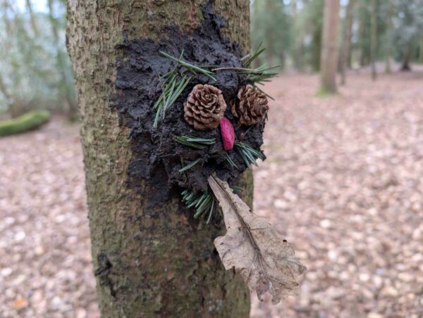 CPD for Forest School; Simple Activity Ideas & Makes; Coventry, Warwickshire 2026