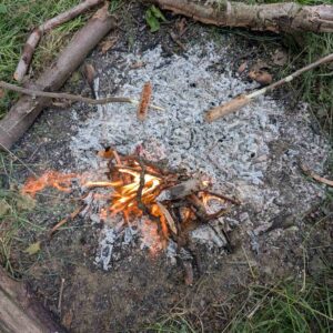 Forest School Assistant (Level 2) Training Course; Coventry, Warwickshire. Autumn 2026