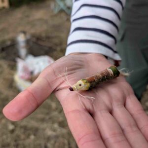 CPD for Forest School; Simple Activity Ideas & Makes; Daventry, Northamptonshire 2026