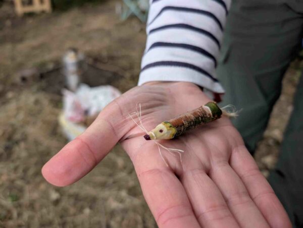 CPD for Forest School; Simple Activity Ideas & Makes; Daventry, Northamptonshire 2026