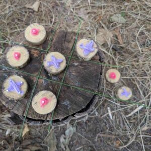 CPD for Forest School; Simple Activity Ideas & Makes; Peterborough, Cambridgeshire 2026