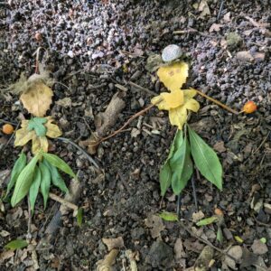 Learning Beyond the Classroom (Level 3) Training Course; Coventry, Warwickshire