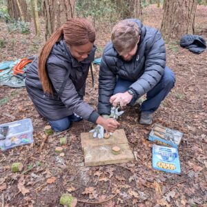 Forest School Leader (Level 3) Training Course; Daventry, Northamptonshire Spring 2027